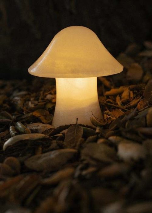 General Admission Mini Mushroom Lamp - White _ Garmentory