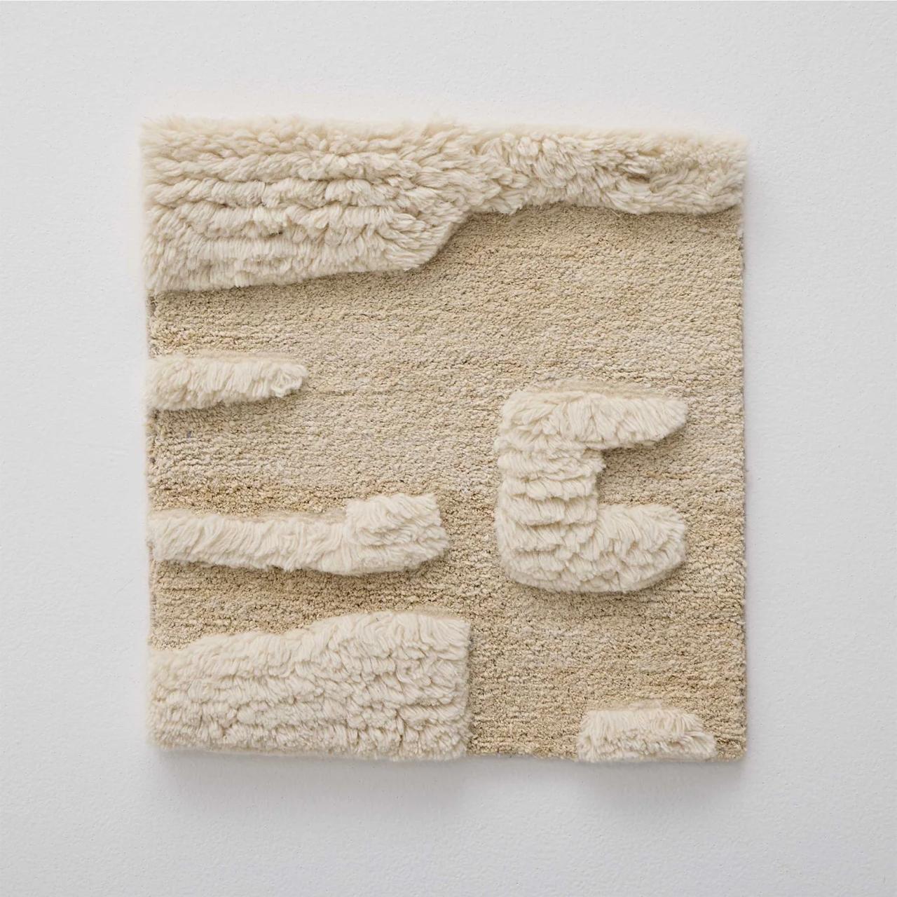 HIgh Pile Carved Shag Rug (1)